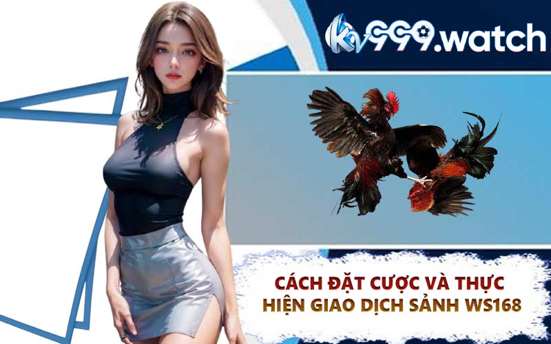 Cách Đặt Cược và Thực Hiện Giao Dịch Sảnh WS168