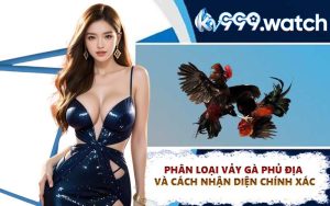 Phân loại vảy gà phủ địa và cách nhận diện chính xác